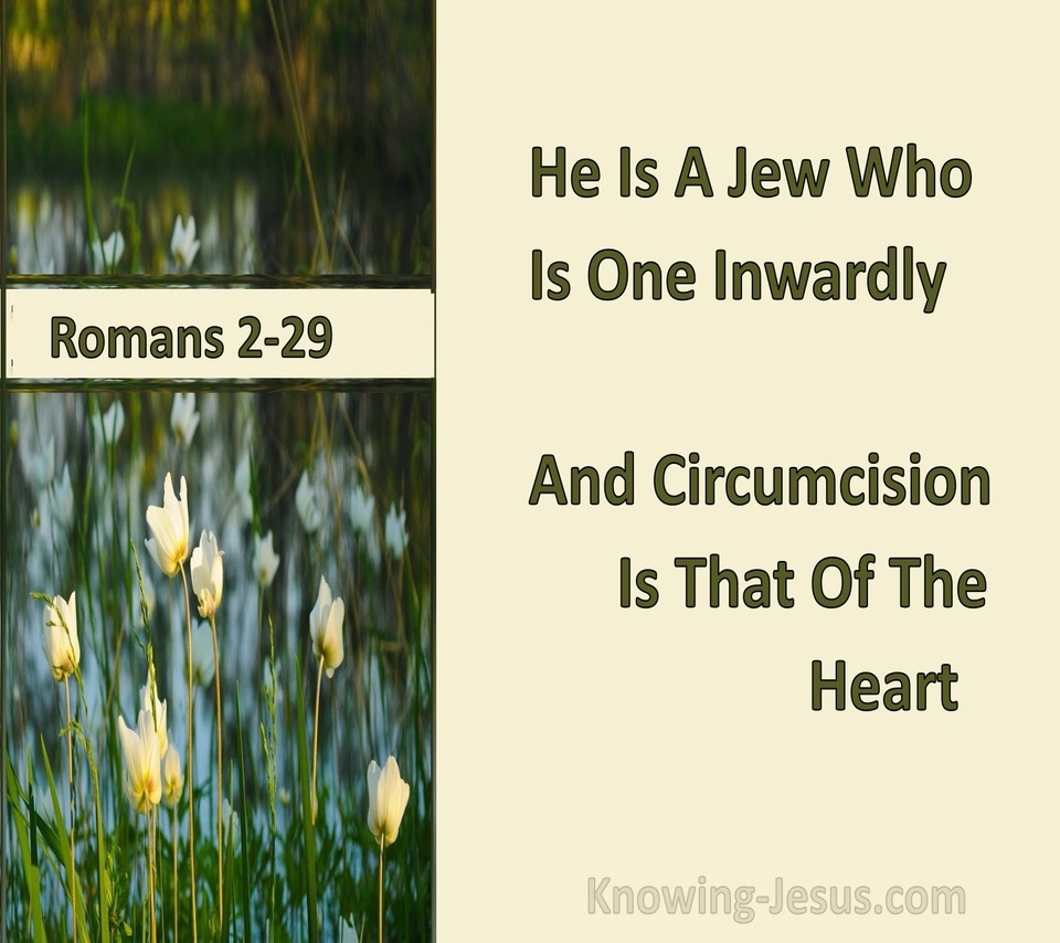 Romans 2:29 He Is A Jew Who Is One Inwardly; And Circumcision Is That Of The Heart (cream)